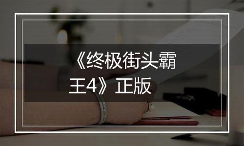 《终极街头霸王4》正版