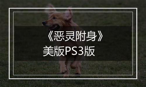 《恶灵附身》美版PS3版