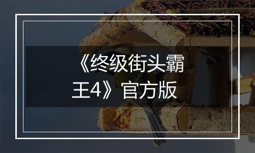 《终级街头霸王4》官方版
