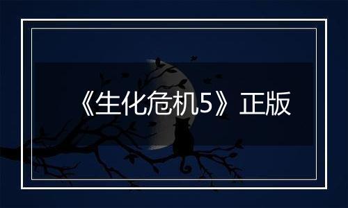 《生化危机5》正版