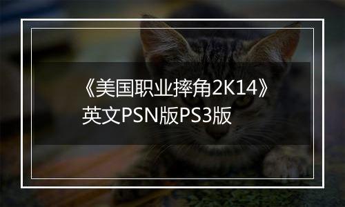 《美国职业摔角2K14》 英文PSN版PS3版