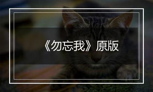 《勿忘我》原版