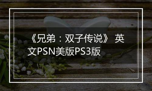 《兄弟：双子传说》 英文PSN美版PS3版