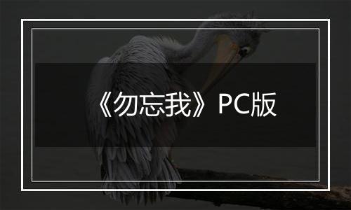 《勿忘我》PC版