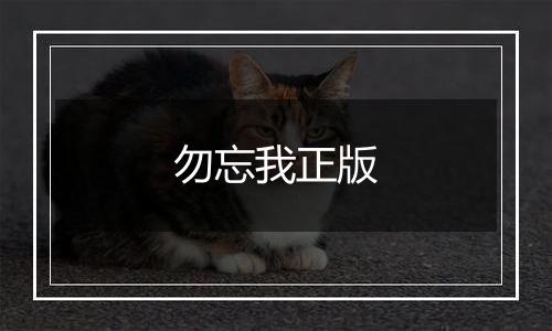 勿忘我正版