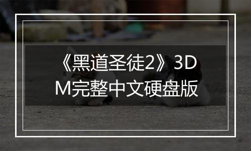 《黑道圣徒2》3DM完整中文硬盘版最新版