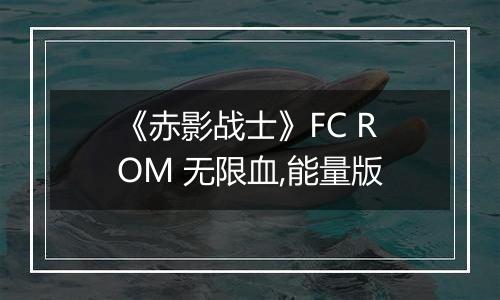 《赤影战士》FC ROM 无限血,能量版