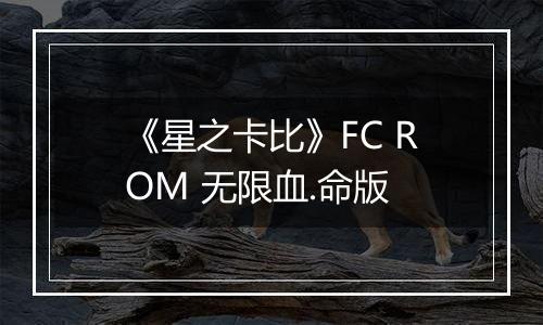 《星之卡比》FC ROM 无限血.命版最新版