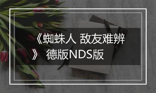《蜘蛛人 敌友难辨》 德版NDS版
