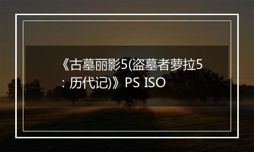 《古墓丽影5(盗墓者萝拉5：历代记)》PS ISO最新版