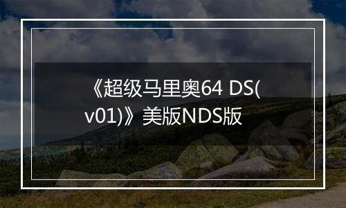 《超级马里奥64 DS(v01)》美版NDS版最新版