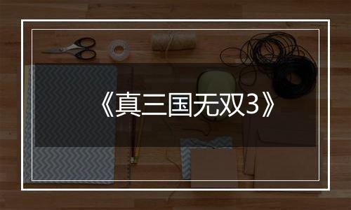 《真三国无双3》最新版