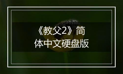 《教父2》简体中文硬盘版