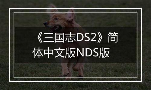 《三国志DS2》简体中文版NDS版