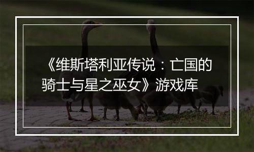 《维斯塔利亚传说：亡国的骑士与星之巫女》游戏库