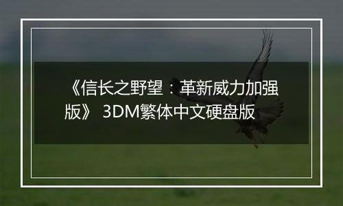 《信长之野望：革新威力加强版》 3DM繁体中文硬盘版