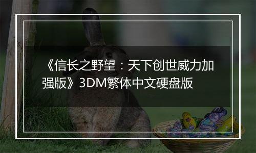 《信长之野望：天下创世威力加强版》3DM繁体中文硬盘版