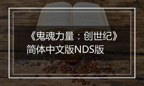 《鬼魂力量：创世纪》简体中文版NDS版