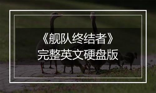 《舰队终结者》完整英文硬盘版最新版