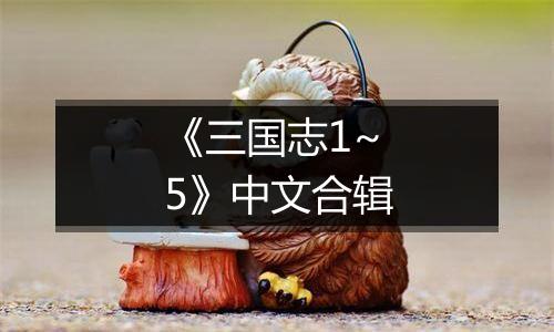 《三国志1~5》中文合辑