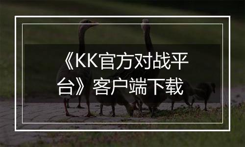 《KK官方对战平台》客户端下载最新版