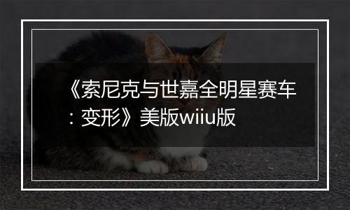 《索尼克与世嘉全明星赛车：变形》美版wiiu版