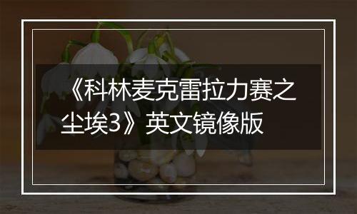 《科林麦克雷拉力赛之尘埃3》英文镜像版