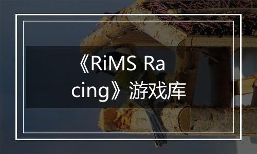 《RiMS Racing》游戏库