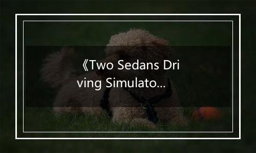 《Two Sedans Driving Simulator》游戏库
