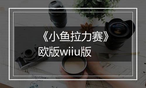 《小鱼拉力赛》欧版wiiu版最新版