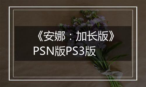 《安娜：加长版》PSN版PS3版最新版
