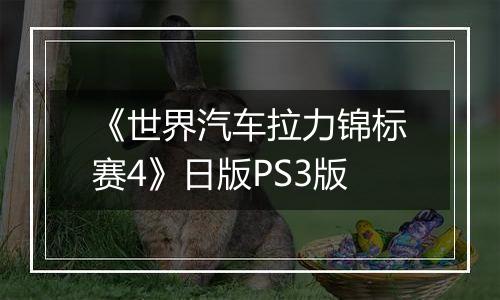 《世界汽车拉力锦标赛4》日版PS3版最新版