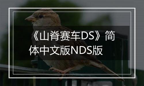 《山脊赛车DS》简体中文版NDS版最新版
