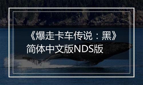 《爆走卡车传说：黑》简体中文版NDS版
