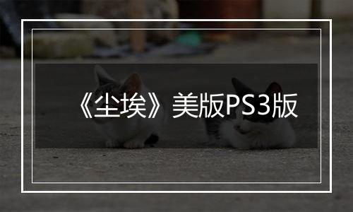 《尘埃》美版PS3版最新版