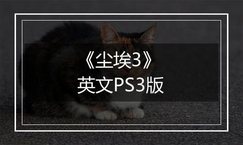 《尘埃3》 英文PS3版