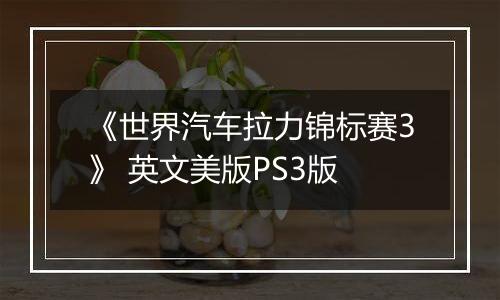 《世界汽车拉力锦标赛3》 英文美版PS3版最新版