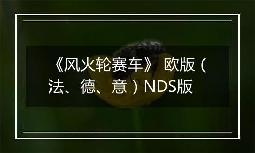 《风火轮赛车》 欧版（法、德、意）NDS版
