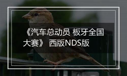 《汽车总动员 板牙全国大赛》 西版NDS版最新版