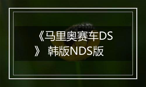 《马里奥赛车DS》 韩版NDS版最新版