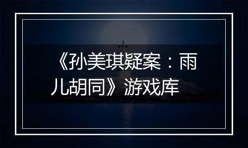 《孙美琪疑案：雨儿胡同》游戏库