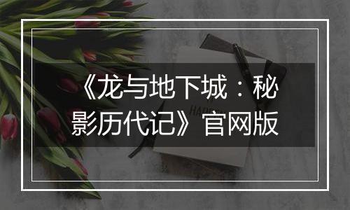 《龙与地下城：秘影历代记》官网版