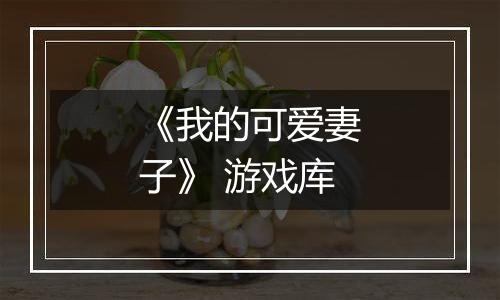 《我的可爱妻子》 游戏库