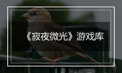 《寂夜微光》游戏库