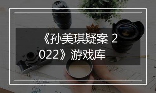 《孙美琪疑案 2022》游戏库
