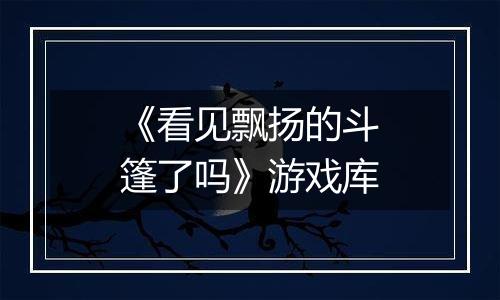 《看见飘扬的斗篷了吗》游戏库