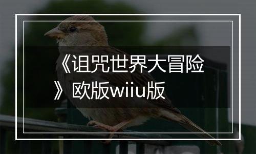 《诅咒世界大冒险》欧版wiiu版