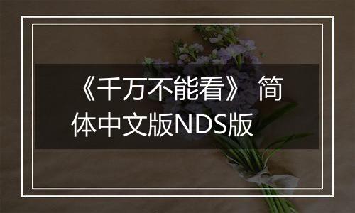 《千万不能看》 简体中文版NDS版
