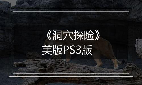《洞穴探险》美版PS3版