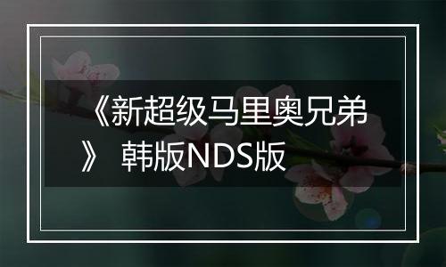 《新超级马里奥兄弟》 韩版NDS版